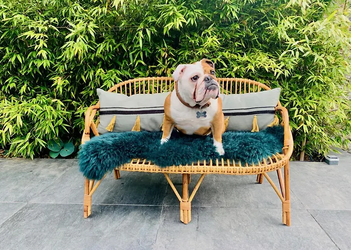 Daire L' Annexe Du 10honfleur *