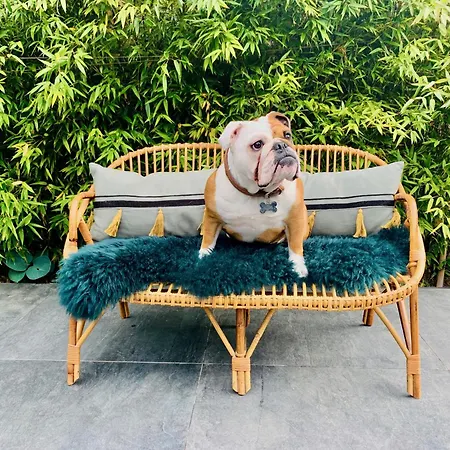 شقة L' Annexe Du 10honfleur *